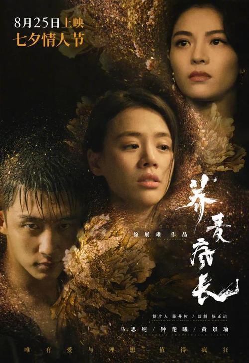 上海一手房房产证办理流程及费用